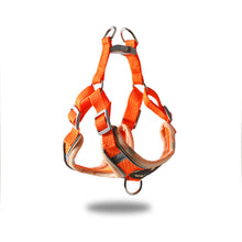 Load image into Gallery viewer, Pet vest type traction rope