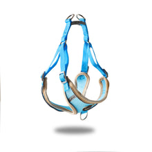 Load image into Gallery viewer, Pet vest type traction rope