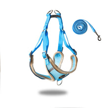 Load image into Gallery viewer, Pet vest type traction rope